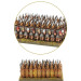 Hail Caesar Epic Battles: Punic Wars - Republican Roman Division