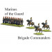 Black Powder Epic Battles: Waterloo - French Middle & Old Guard