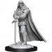 D&D Nolzur's Marvelous Unpainted Minis: W13 Male Human Paladin