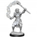D&D Nolzur's Marvelous Unpainted Minis: W13 Female Firbolg Druid