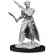 D&D Nolzur's Marvelous Unpainted Minis: W13 Female Shifter Rogue