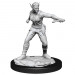 D&D Nolzur's Marvelous Unpainted Minis: W13 Female Shifter Rogue
