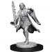 D&D Nolzur's Marvelous Minis: W13 Female Multiclass Warlock + Sorcerer