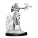 D&D Nolzur's Marvelous Minis: W13 Female Multiclass Warlock + Sorcerer
