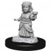 D&D Nolzur's Marvelous Minis: W13 Silver Dragon Wyrmling & Friend