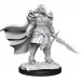 D&D Nolzur's Marvelous Unpainted Minis: W15 Female Dragonborn Fighter