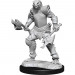 D&D Nolzur's Marvelous Unpainted Minis: W15 Female Dragonborn Fighter