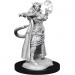 D&D Nolzur's Marvelous Unpainted Minis: W15 Female Tiefling Sorcerer