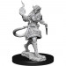 D&D Nolzur's Marvelous Unpainted Minis: W15 Female Tiefling Sorcerer