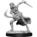 D&D Nolzur's Marvelous Unpainted Minis: W15 Female Air Genasi