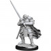 D&D Nolzur's Marvelous Unpainted Minis: W15 Male Half-Orc Paladin