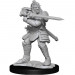 D&D Nolzur's Marvelous Unpainted Minis: W15 Hobgoblin Fighter & Wizard