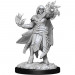 D&D Nolzur's Marvelous Unpainted Minis: W15 Hobgoblin Fighter & Wizard