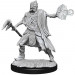 D&D Nolzur's Marvelous Unpainted Minis: W15 Allip & Deathlock