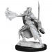 D&D Nolzur's Marvelous Unpainted Minis: W15 Winter & Spring Eladrin