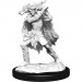 D&D Nolzur's Marvelous Unpainted Minis: W15 Winter & Spring Eladrin