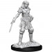 Pathfinder Battles Deep Cuts Unpainted Minis: W15 Female Human Fighter
