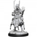 Starfinder Battles Deep Cuts Unpainted Minis: W1 Shirren Technomancer