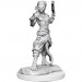 D&D Nolzur's Marvelous Unpainted Minis: W20 Shifter Fighter