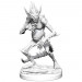 D&D Nolzur's Marvelous Unpainted Minis: W16 Barbed Devils