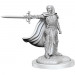 D&D Nolzur's Marvelous Unpainted Minis: W20 Death Knights
