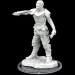 Critical Role Unpainted Minis: W2 Turst Swordsman & Lyrengorn Priest