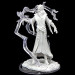 Critical Role Unpainted Miniatures: W2 Remnant Cultist & Chosen