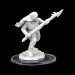 Critical Role Unpainted Miniatures: W2 Ashari Waverider & Octopus