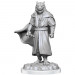 Critical Role Unpainted Minis W3 Human Sorcerer Merchant & Tiger Demon