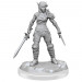 D&D Nolzur's Marvelous Minis: W19 Elf Rogue & Half-Elf Rogue Protege