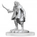 D&D Nolzur's Marvelous Minis: W19 Elf Rogue & Half-Elf Rogue Protege