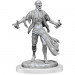 D&D Nolzur's Marvelous Unpainted Minis: W19 Nosferatu