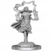 D&D Nolzur's Marvelous Unpainted Minis: Dark Spellcaster & Flameskulls