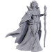 D&D Nolzur's Marvelous Unpainted Miniatures: 50th Anniversary - Elves