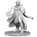 Critical Role Unpainted Minis: Beauregard Lionett & Caleb Widogast