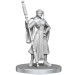 Critical Role Unpainted Minis: Beauregard Lionett & Caleb Widogast