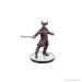 D&D Icons of the Realms: Baldur's Gate 3 - Character Boxed Set