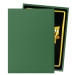 Dragon Shield Sleeves: Matte Non-Glare - Forest Green (100)