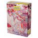 Dragon Shield Sleeves: Matte - Japanese Size - Demon Hunters (60)