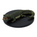 Waterdeep Dragon Heist #30 Crocodile (U)