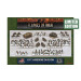 Flames of War WWII: 101st Airborne Division (Winter) Army Deal
