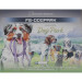 Box Insert Color: Dog Park