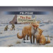 Box Insert Color: Fox Experiment