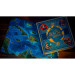 Sea of Legends