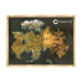 Conquest: Cloth Map of Alektria, the First Continent of EA