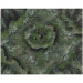 Pathfinder 2E RPG: Flip Mat - Haunted Battlefield
