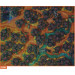 Starfinder RPG: Flip-Mat - Forest Moon