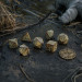 The Witcher Dice Set: Crones - Weavess