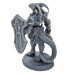 Bones Legends: Dragonfolk Paladin