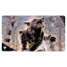 MtG Double-Sided Playmat: Innistrad Remastered - Arlinn Kord / Arlinn, Embraced by the Moon